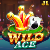 Wild Ace betpk22